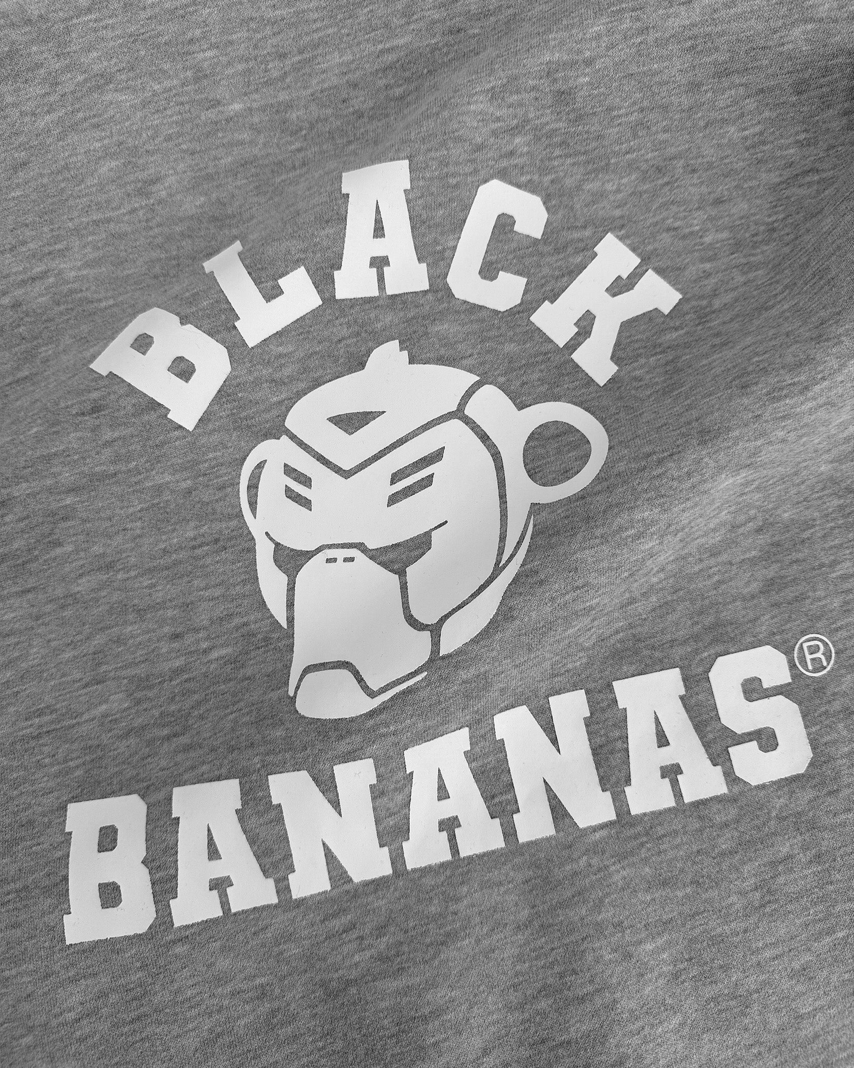 SUDADERA VARSITY NIÑOS | Melange gris