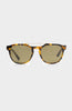 Visionary II | Tortuga
